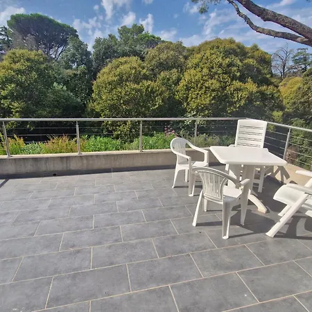 Tatil Evi Climatisee 3 Pieces, Piscine Partagee, Proche Centre A - Fr-1-780-64 Sainte-Maxime